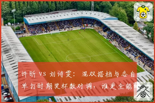 许昕 vs 刘诗雯:混双搭档与各自单打时期奖杯数对调,谁更全能?
