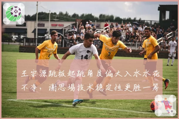 王宗源跳板起跳角度偏大入水水花不净，谢思埸技术稳定性更胜一筹